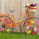 Cicloficina a partir de Outubro